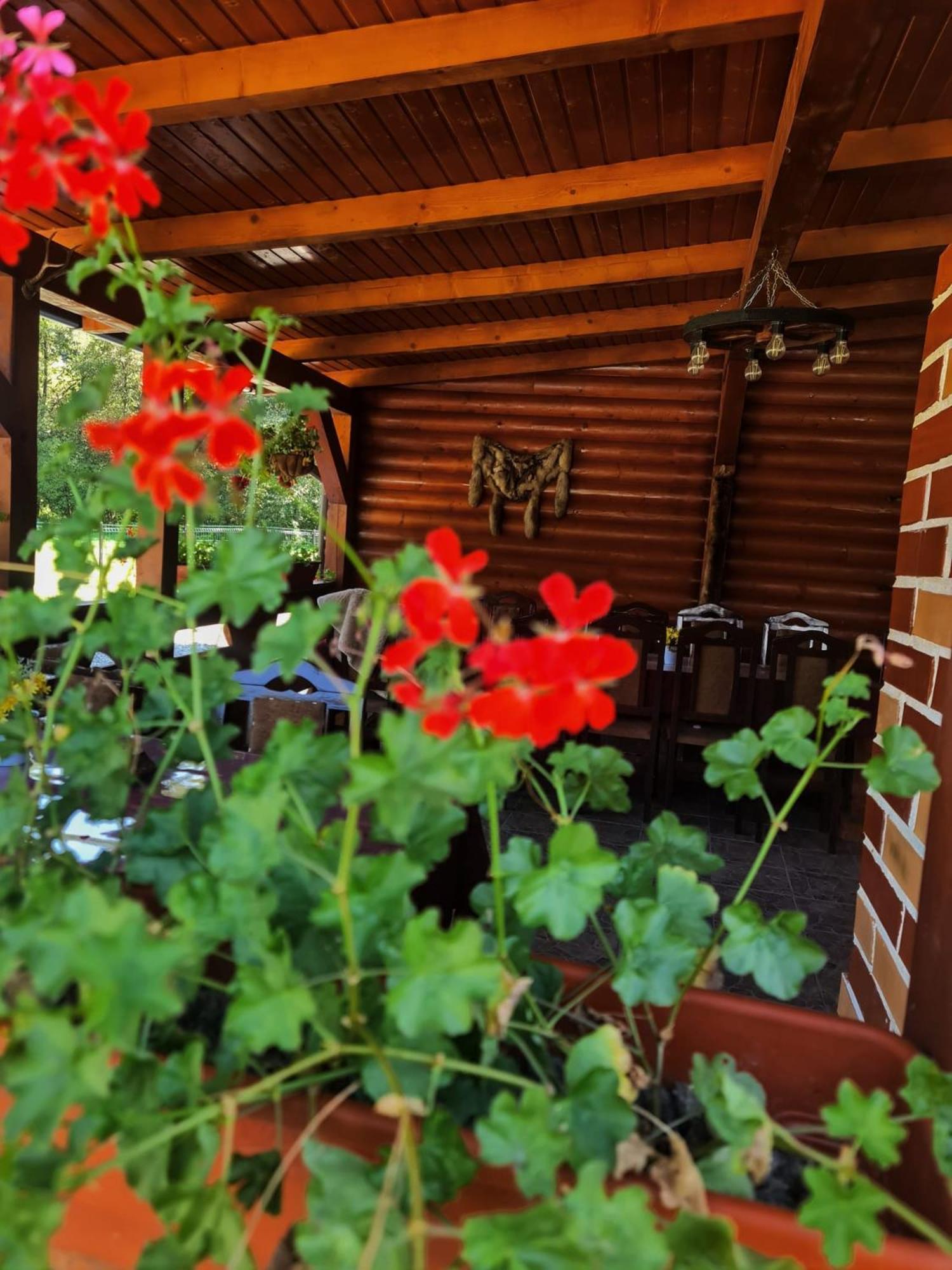 Cabana Dintre Munti Alsóvidra Kültér fotó